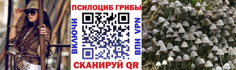 Галлюциногенные грибы ЛСД  даркнет сайт  darknet как зайти  Кашира  omg зеркало 